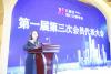 江苏省流行音乐学会副理事长兼秘书长张丹丹作工作汇报